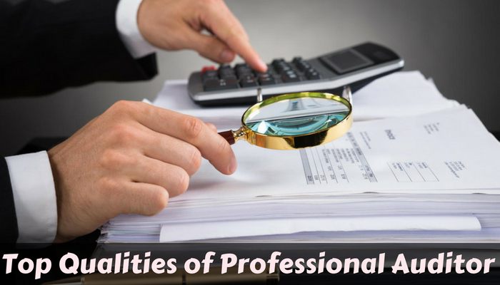 Professional Auditor